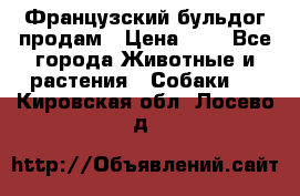 Французский бульдог продам › Цена ­ 1 - Все города Животные и растения » Собаки   . Кировская обл.,Лосево д.